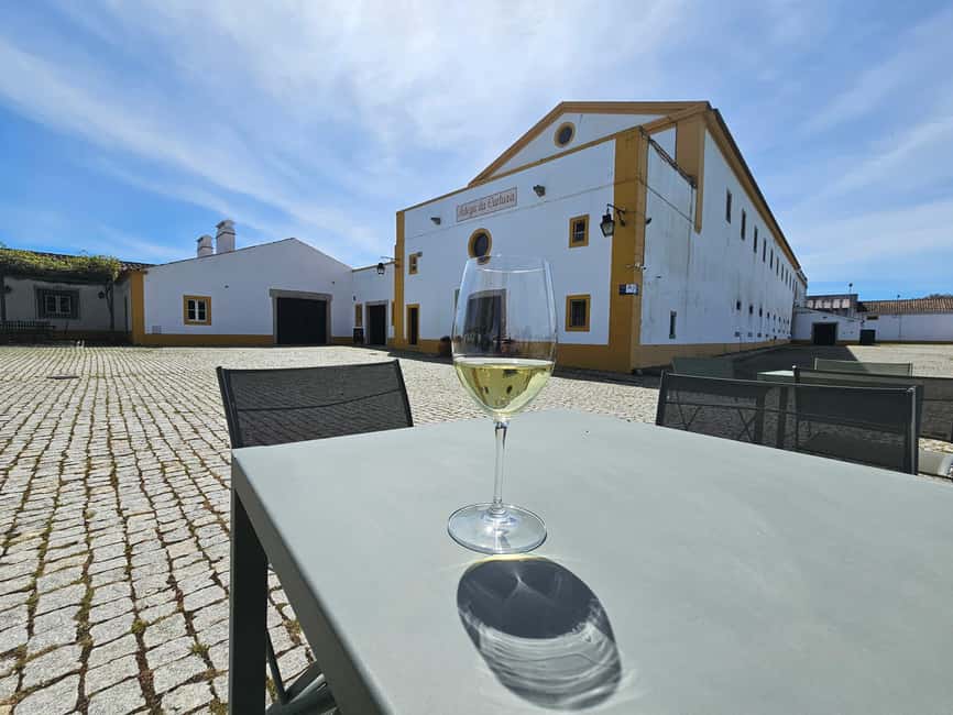 Évora (with Sé & Bones), Evoramonte & Arraiolos: From Lisbon - Cartuxa vineyards and optional wine tasting