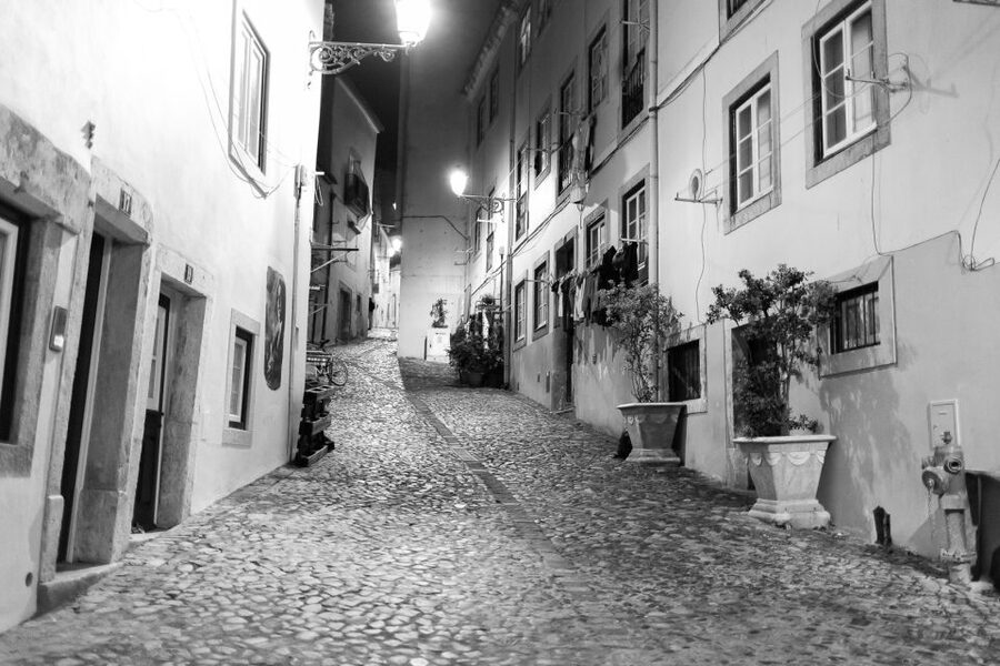 Fado: Musical Walking Tour with Food & Live Show - Is $100 a fair price?