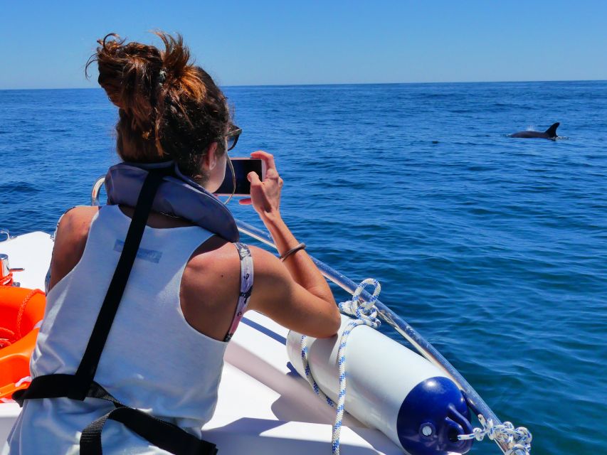Faro: Dolphin and Wildlife Watching in the Atlantic Ocean - Booking and timing advice