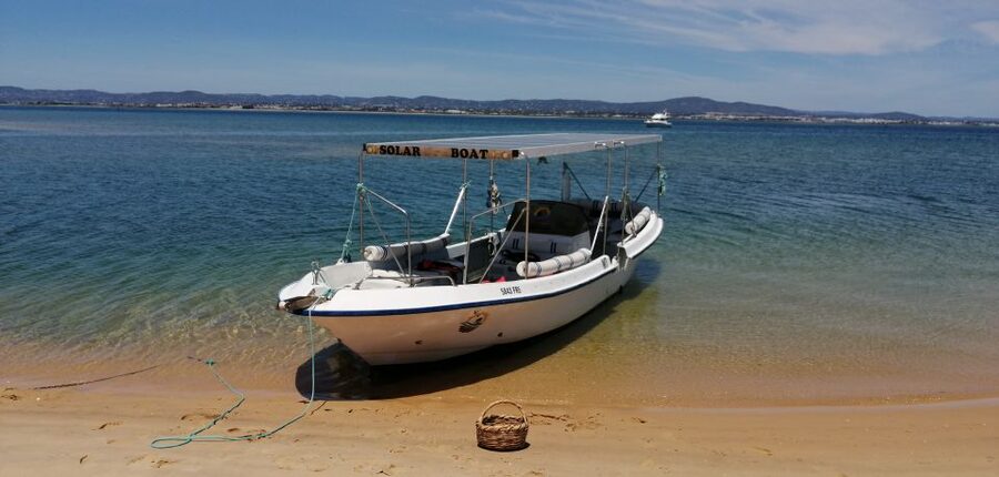 Faro: Eco-Friendly Ria Formosa Bird Watching in Solar Boat - What the return journey adds