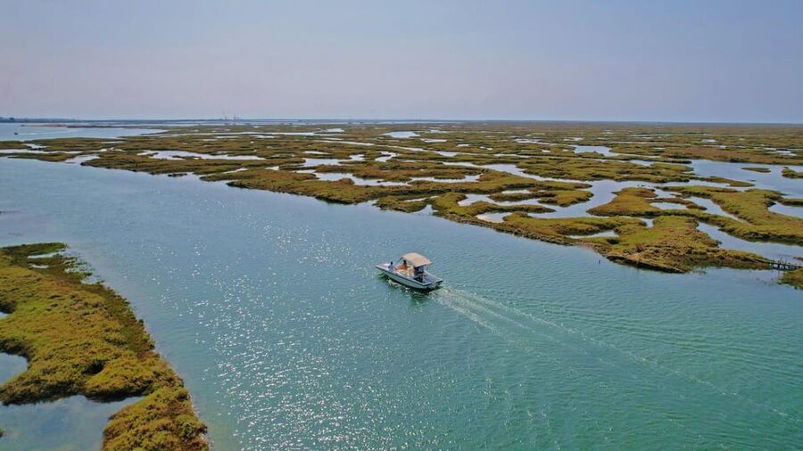 Faro: Ria Formosa Boat Tour by Eco-Friendly Solar Boat - Leaving Cais das Portas do Mar