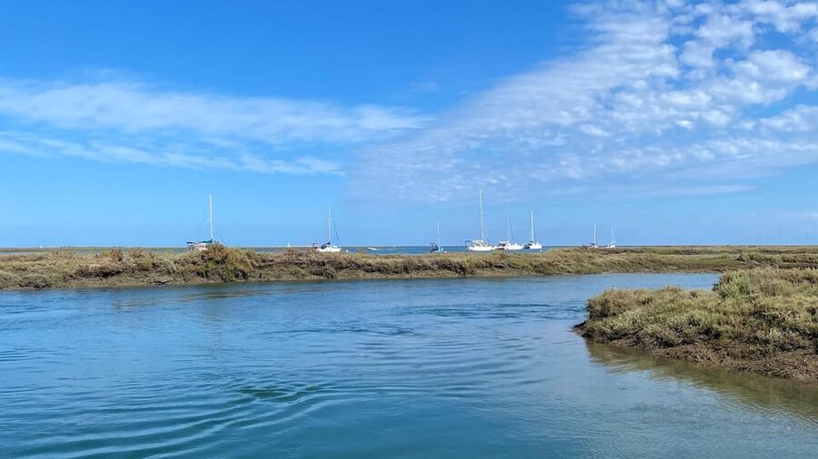 Faro: Ria Formosa Boat Tour by Eco-Friendly Solar Boat - Bird Watching Along the Waterways