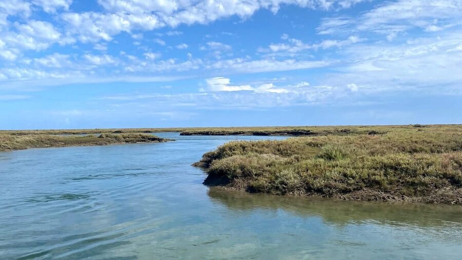 Faro: Ria Formosa Boat Tour by Eco-Friendly Solar Boat - What the One-Hour Itinerary Includes