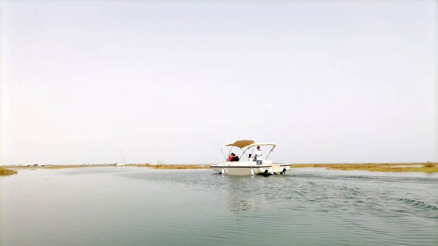 Faro: Ria Formosa Boat Tour by Eco-Friendly Solar Boat - Is $29 a Fair Price?