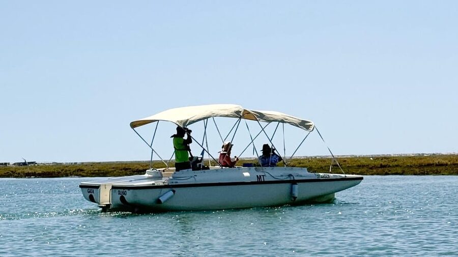 Faro: Ria Formosa Boat Tour by Eco-Friendly Solar Boat - Entering the Ria Formosa Protected Marshes