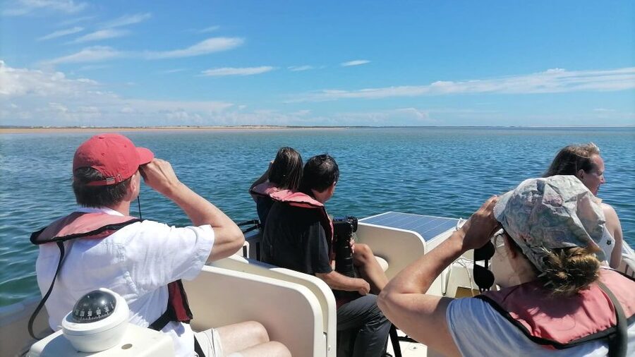 Faro: Ria Formosa Eco Birdwatching Boat Tour - Key points to know before booking