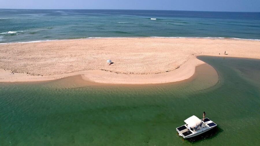 Faro: Ria Formosa Eco Birdwatching Boat Tour - Is $47 a fair price?