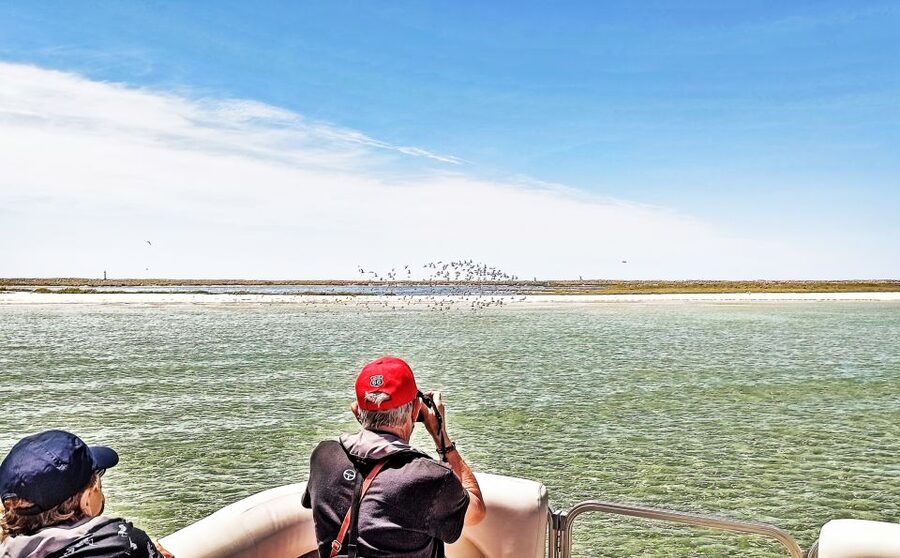 Faro: Ria Formosa Faro Islands Boat Tour - Five minutes back through the channels