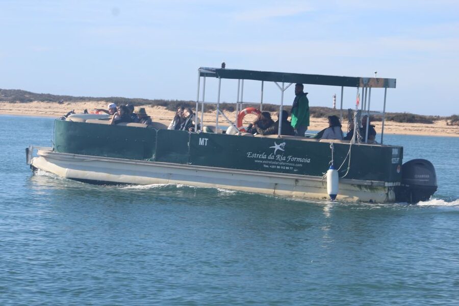 Faro: Ria Formosa Guided Sunset Tour by Catamaran - Is $35 a fair price?
