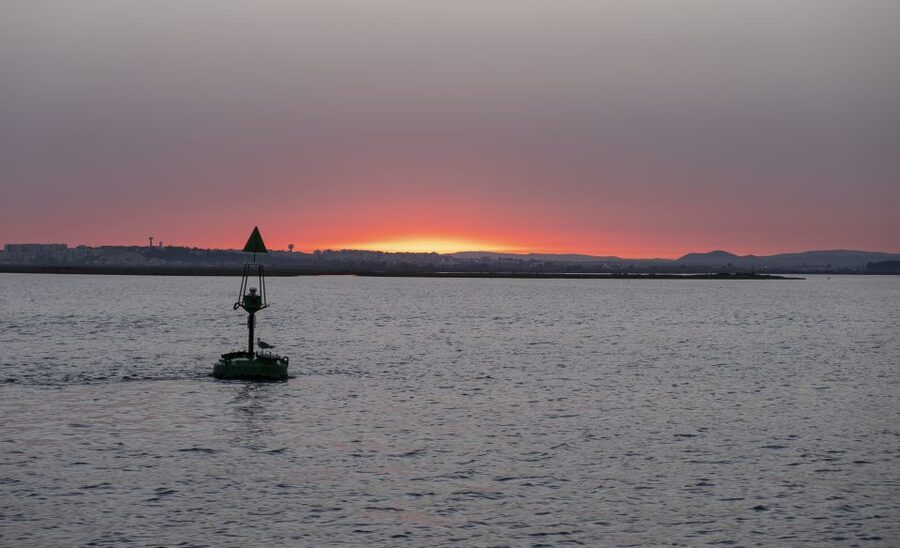 Faro: Ria Formosa Guided Sunset Tour by Catamaran - Starting at Cais da Porta Nova