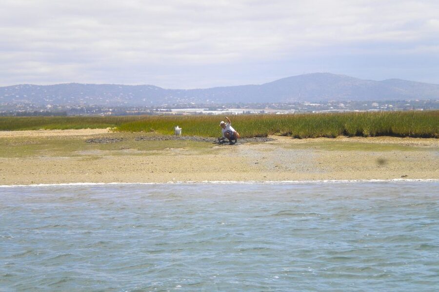 Faro: Ria Formosa Lagoon Small Boat Tour with Local Guide - FAQ