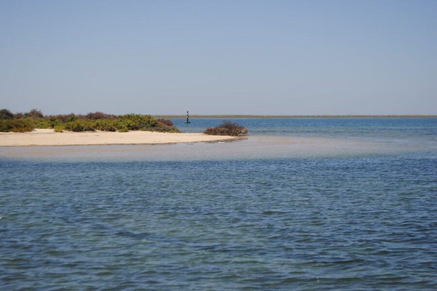 Faro: Ria Formosa Lagoon Small Boat Tour with Local Guide - Faro’s Old Town walls from the water