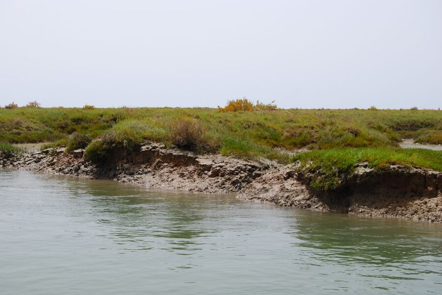 Faro: Ria Formosa Lagoon Small Boat Tour with Local Guide - What the guides add to the hour
