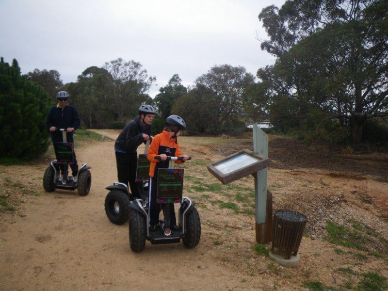 Faro: Ria Formosa Natural Park Segway Tour & Birdwatching - Practical tips for a better ride
