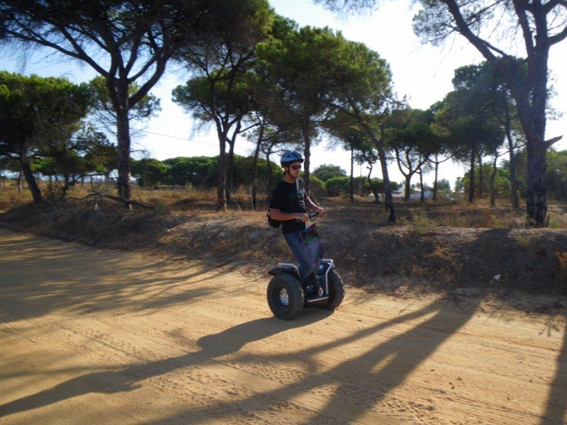 Faro: Ria Formosa Natural Park Segway Tour & Birdwatching - The nature lesson between the stops