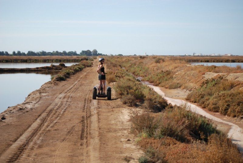Faro: Ria Formosa Natural Park Segway Tour & Birdwatching - The value of $66 for 90 minutes