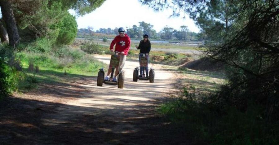 Faro: Ria Formosa Natural Park Segway Tour & Birdwatching - Who will enjoy this Faro outing most?