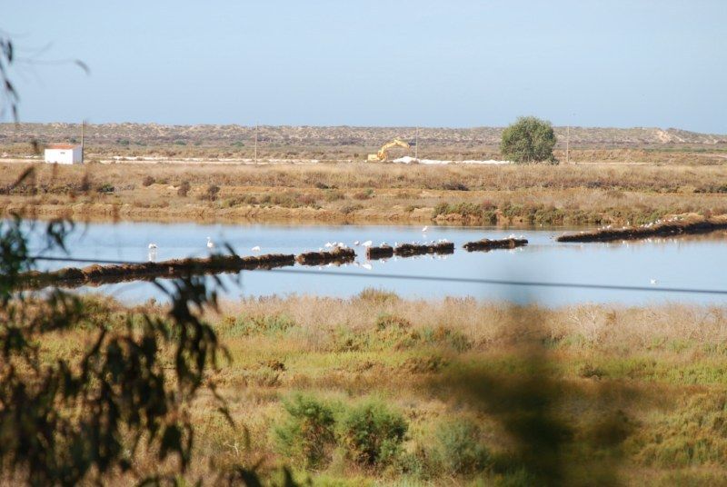 Faro: Ria Formosa Natural Park Segway Tour & Birdwatching - Getting started at the beach parking area