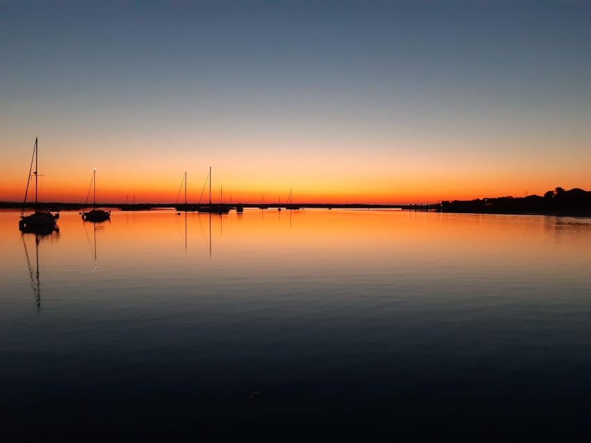 Faro: Ria Formosa Sunset Nature Boat Tour - Key points to know before you book