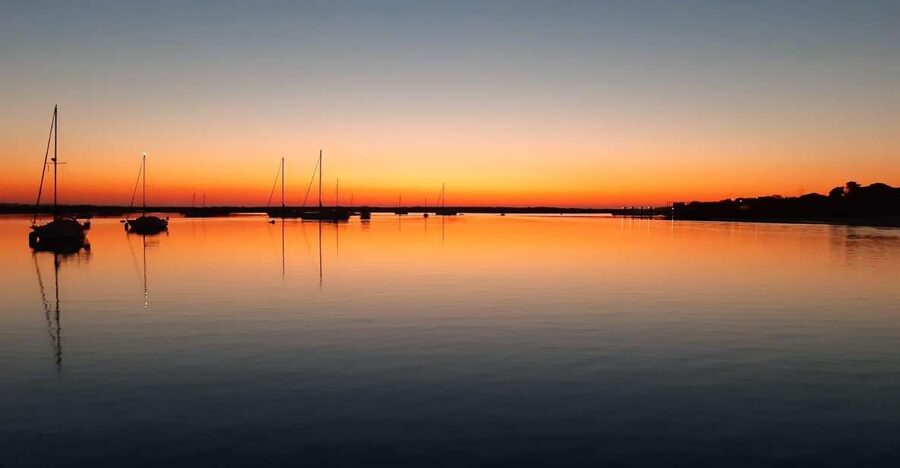 Faro: Ria Formosa Sunset Nature Boat Tour - Who will enjoy this cruise most