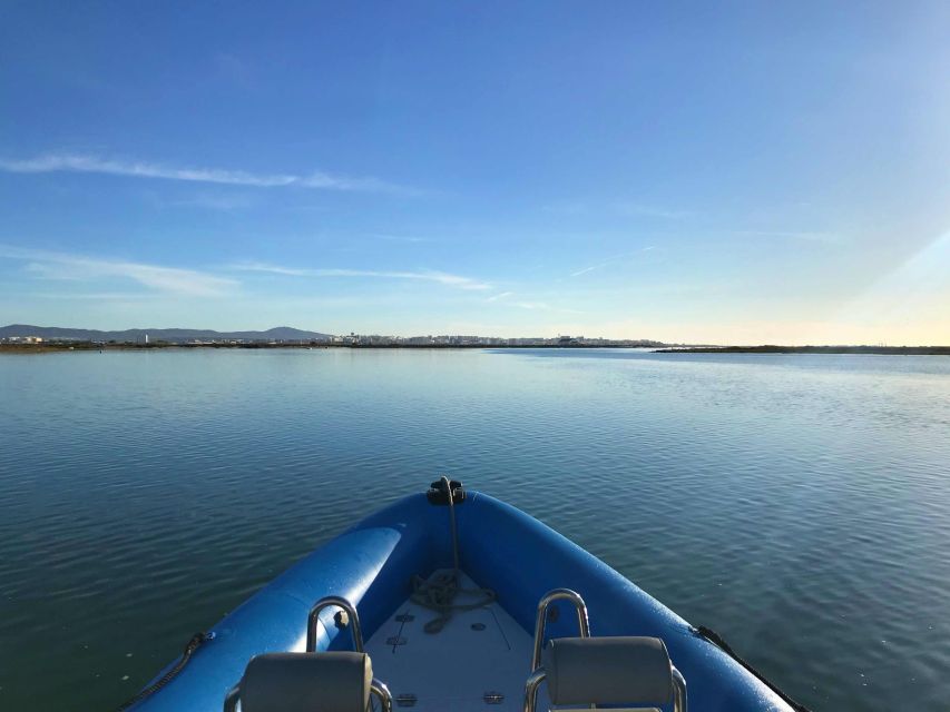 Faro: Speed Boat Tour - Key points to know before booking