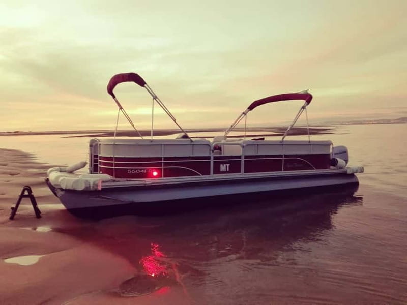 Faro: Sunset 1 hour Ria Formosa Boat Tour - The catamaran, comfort, and group feel
