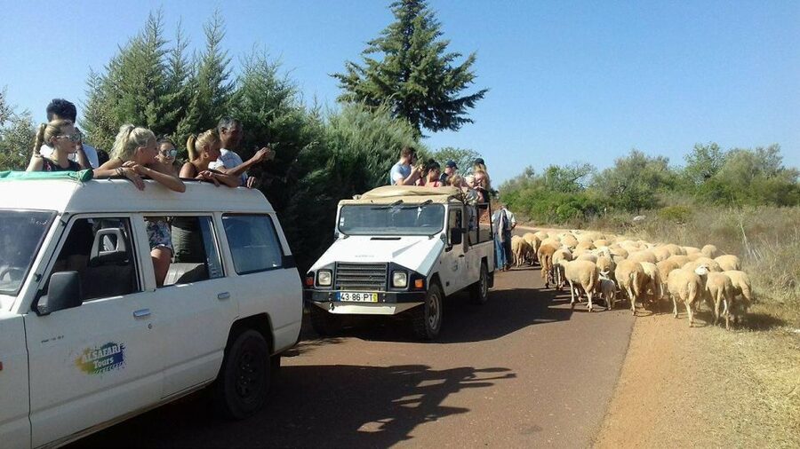 From Albufeira: 4x4 Off-Road Safari & Vineyard Wine Tasting - Leaving Albufeira for the inland Algarve