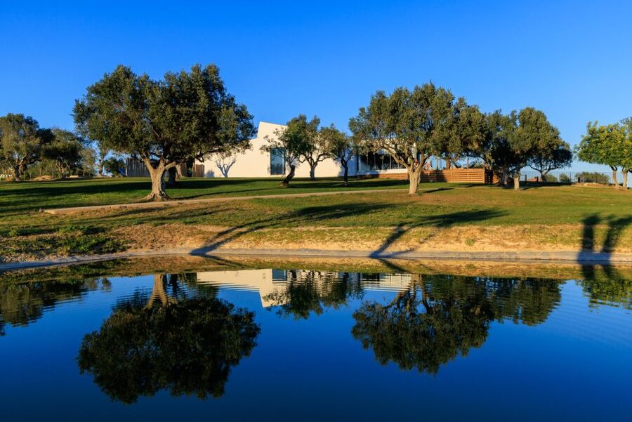 From Albufeira: 4x4 Off-Road Safari & Vineyard Wine Tasting - Reaching the vineyard and seeing how wine is made