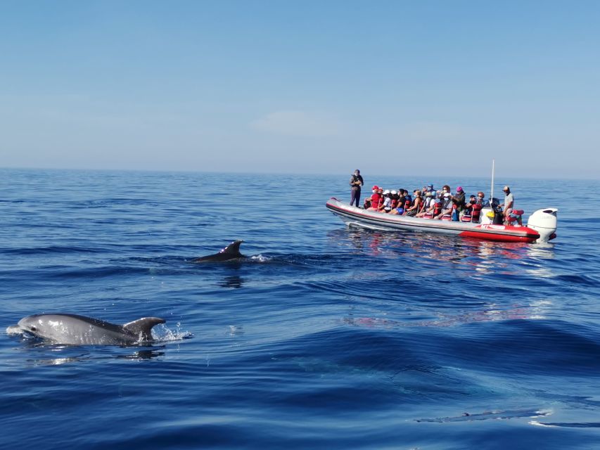 From Albufeira: Benagil Caves and Dolphins Guided Boat Tour - Heading west toward the Benagil area