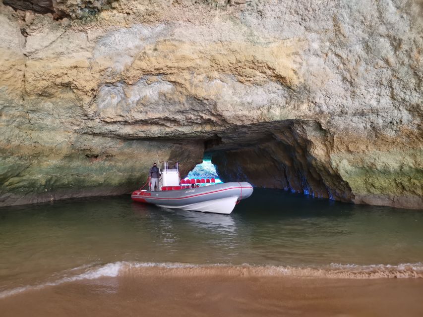 From Albufeira: Benagil Caves and Dolphins Guided Boat Tour - Checking in at Albufeira Marina