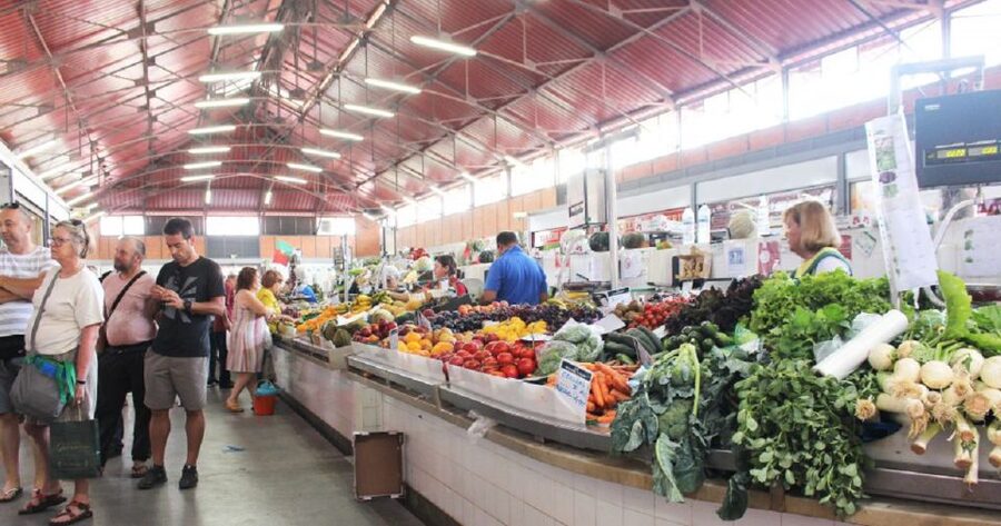 From Albufeira: Full-Day Tour of Algarve Eastern's Finest - Tavira gives you the longest pause