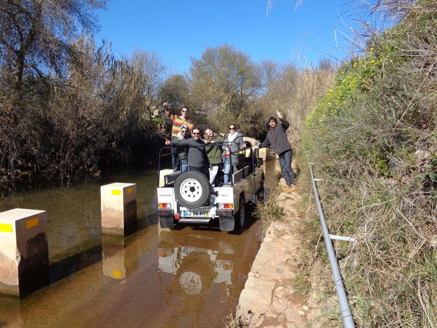 From Albufeira: Half-Day Algarve Jeep Safari - Leaving Albufeira for the country lanes