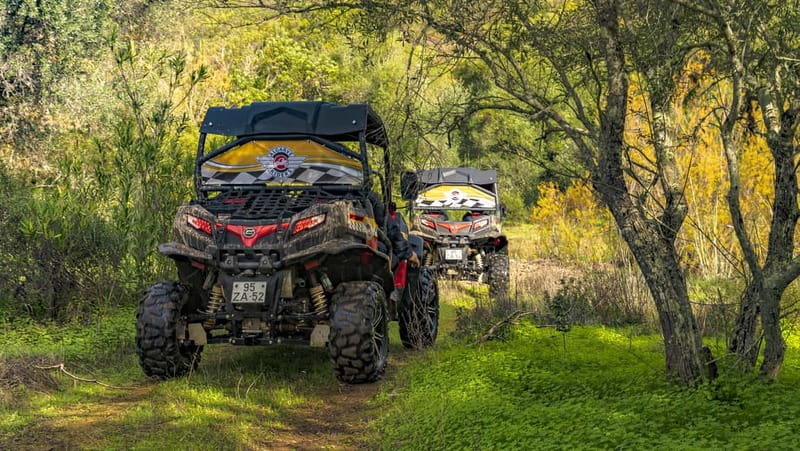From Albufeira: Half-Day Buggy Adventure Tour - What driving the buggy is really like