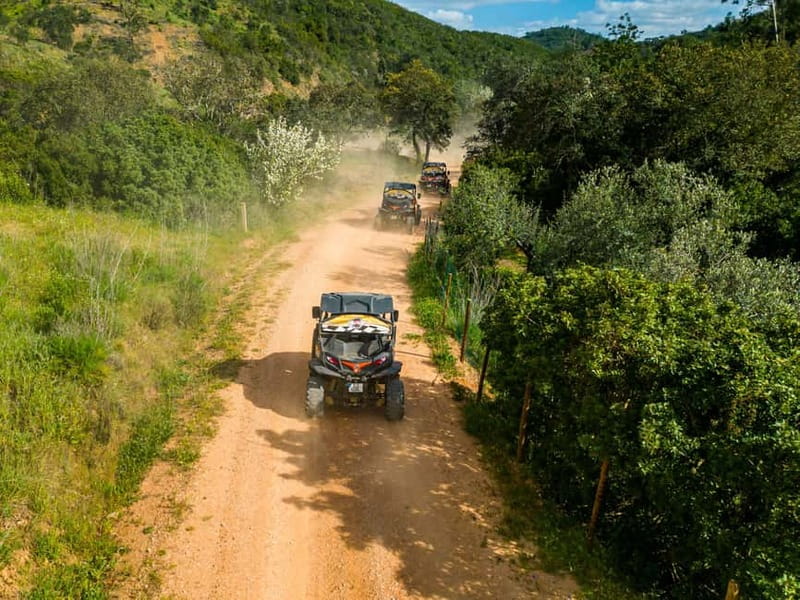 From Albufeira: Half-Day Buggy Adventure Tour - Guides, pace, and group size