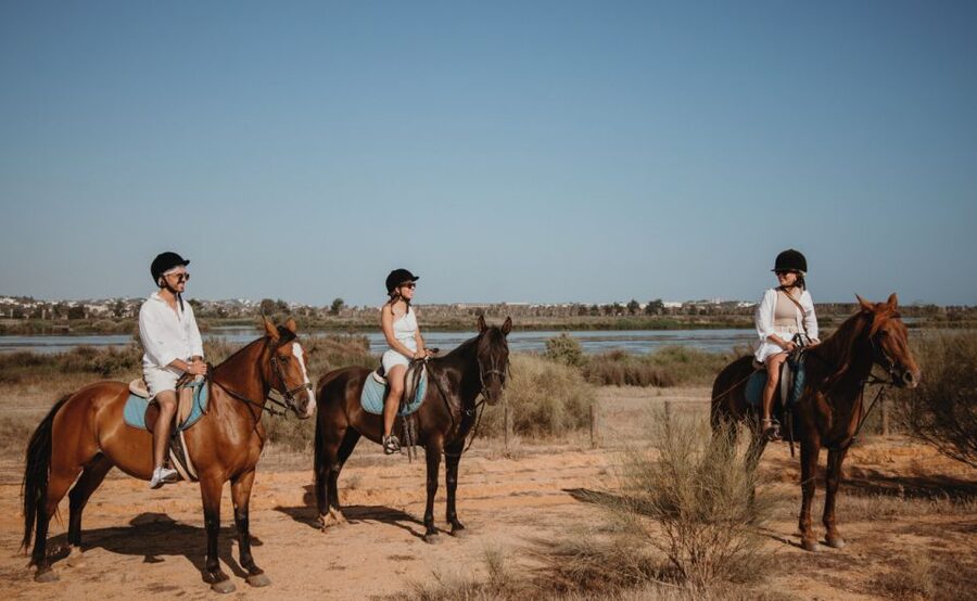 From Albufeira: Half-Day Hidden Gems & Horse Riding Tour - Key points to know before booking
