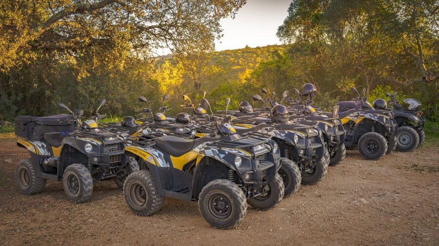 From Albufeira: Half-Day Off-Road Quad Tour - Price, group size, and what the package covers