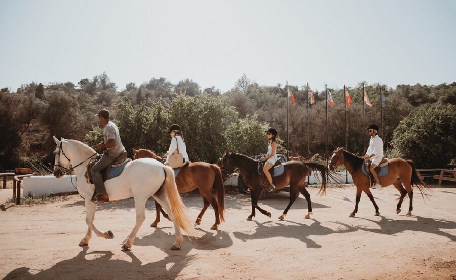 From Albufeira: Horse Riding Tour with Pickup - Key points to know before you book