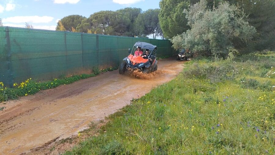 From Albufeira: Paderne Adventure Buggy Ride - What the off-road route feels like