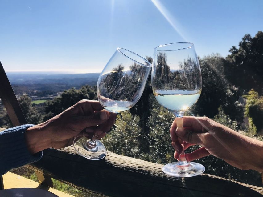 From Albufeira: Wine Tasting & Historic Silves Tour - Key points to know before booking
