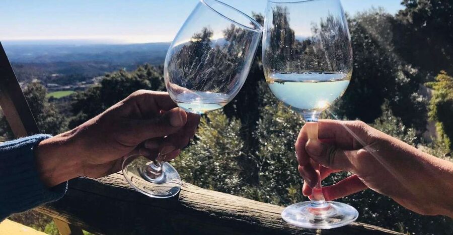 From Albufeira: Wine Tasting & Historic Silves Tour - Inside a family-owned Algarve winery