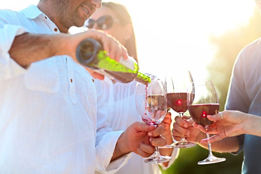 From Albufeira: Wine Tasting & Historic Silves Tour - Tasting three wines with Algarve snacks