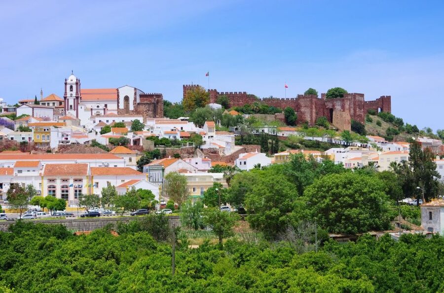 From Albufeira: Wine Tasting & Historic Silves Tour - Who will enjoy this outing most