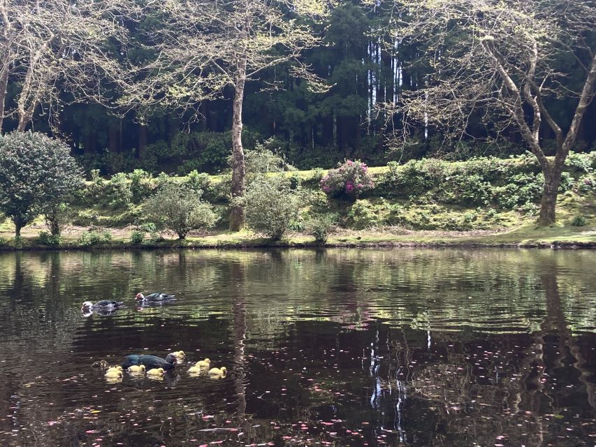 From Angra: Terceira Island Full-Day Tour - Shared, private, or walking format?