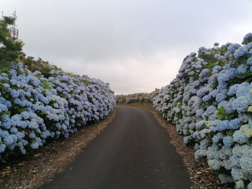 From Angra: Terceira Island Full-Day Tour - Lunch and free time in Praia da Vitória