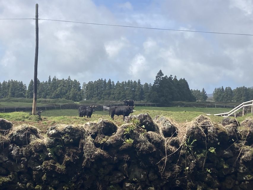 From Angra: Terceira Island Full-Day Tour - The volcanic interior and Algar do Carvão question