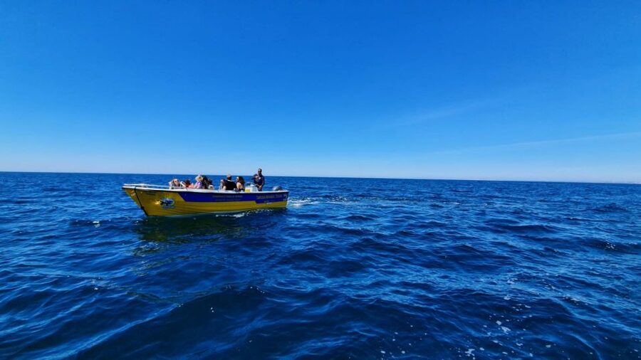 From Benagil: Benagil Cave & Marinha Beach Express Tour - Why this short Benagil boat trip works