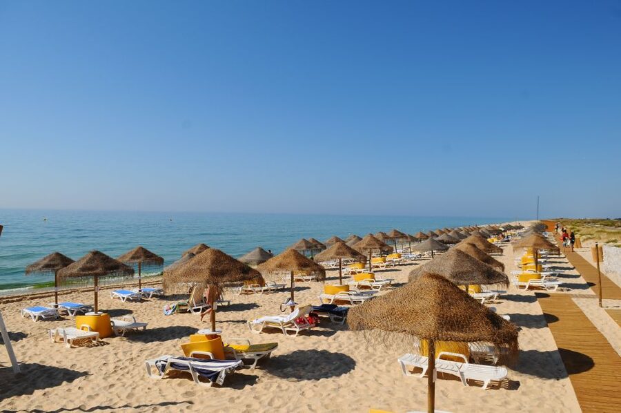 From Cabanas de Tavira: Octopus Route - Should you book the Octopus Route?