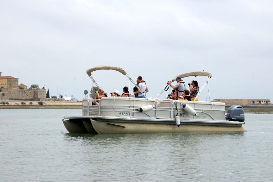 From Faro: 2-Hour Guided Bird Watching Boat Trip - Who should book this boat trip?