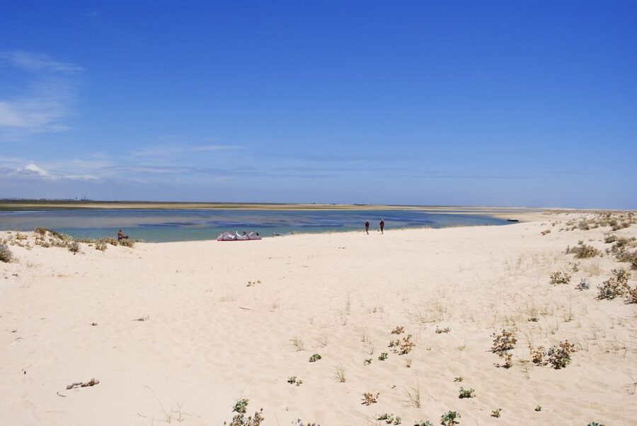 From Faro: 2-Hour Guided Bird Watching Boat Trip - Why the Ria Formosa works so well for bird watching