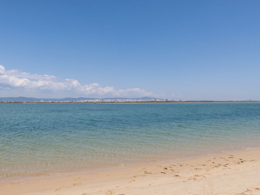From Faro: 2-Hour Guided Bird Watching Boat Trip - Cruising the first channels